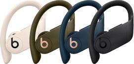 Beats by Dr. Dre Powerbeats Pro In Ear Wireless Headphones - Left/Right/Dock
