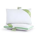 SPREAD SPAIN Microfiber Aloe Vera Gel Pillow Comfortable Anti-Bacterial and Anti-Allergic Sleeping Pillow for Sensitive Skin, Super Soft (45 x 68 cm, Green)