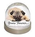 Pug Dog 'Yours Forever' Sentiment Photo Snow Globe Waterball - Advanta Group®