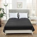 Sex and Sensuality Adult Bedsheets Waterproof Bed Sheets King Size Flat Sheet 86.6inches 78.7inches PVC(Black)