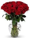 BENCHMARK BOUQUETS - 24 Stem Red Roses (Glass Vase Included), Next-Day Delivery, Gift Fresh Flowers for Birthday, Anniversary, Get Well, Sympathy, Graduation, Congratulations, Thank You