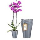 Garten lux Set of 4 Orchid Pots Large Anthracite Transparent Diameter 16 cm 3 L Orchid Planter