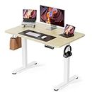 ErGear Height Adjustable Electric Standing Desk, 40 x 24 Inches Sit Stand up Desk, Small Memory Computer Home Office Desk (Natural)