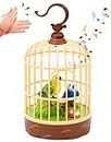 Zest 4 Toyz Singing Moving Chirping Beautiful Bird Pet Toy in Cage, Hanging Cage with Music Singing Moving Chirping for Kids for Home Decor/Living Room/Garden (Multicolour)
