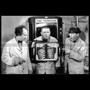 Photo F.015875 THE THREE STOOGES (DIZZY DOCTORS) 1937