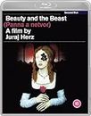 Beauty and the Beast [Blu-ray] [2021]