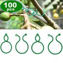 New Plant Rings Grow Support Tomato Vine 100pcs Fruits Home Gardening Set