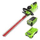 Greenworks G40HT61K2 Cordless Hedge Trimmer, 61cm Dual Action Blades, Cuts up to 27mm Thick Branches and Stems, 3000spm, 40V 2Ah Battery & Charger, 3 Year Guarantee