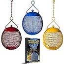 3 Assorted Colorful Seed Ball Bird Feeders or Candle Holders in One Package