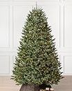Balsam Hill 9ft Pre-Lit Fraser Fir Artificial Christmas Tree with Clear Incandescent Lights