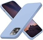 TEEKAOO Silicone Back Cover Case Compatible for iPhone 11 Pro Max (Light Blue)