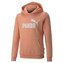PUMA Girls Youth Essentials Logo Girls Hoodie Orange Medium
