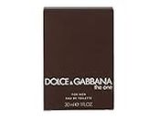 Men's Perfume The One Dolce & Gabbana EDT