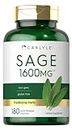 Sage Supplement 1600mg | 180 Capsules | High Potency | Non-GMO, Gluten Free | by Carlyle