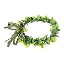 Holibanna 3pcs Bridal Headband Leaf Crowns for Women Ivy Travel Plastic Branch Artificial Grass Adjustable