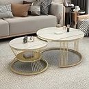 BULKWOOD Modern Coffee Tables Set of 2 with Marble Finish Top for Living Room, Accent Furniture with Gold Metal Frame (Gold White)