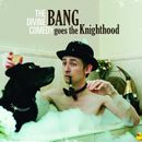 THE DIVINE COMEDY - Bang Goes The Knighthood 2020) LP 
