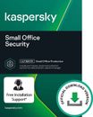 Kaspersky Small Office Security Global 25 DEVICE KASPERSKY REGISTERED PARTNER