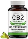 CB2 HEMP OIL CAPSULES [ORGANIC] - Extra Strength Hemp Oil for Pain Relief, Inflammation, Anxiety & Stress - Easy To Swallow Vegan Softgels - 1000MG Capsule with Curcumin. High Potency Supplement. Stronger Than Hemp Gummies. Excellent Source of Omega 3 6 9. Certified Organic / Non-GMO. Made in CANADA