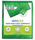 Mipatex Tarpaulin Sheet Waterproof Heavy Duty 12ft x 10ft, Poly Tarp with Aluminium Eyelets Every 3 feet - Multipurpose 200 GSM Plastic Cover for Truck, Home Roof, Rain, Outdoor or Sun (Green/White)