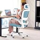 DROGO Premium Ergonomic Office Chair for Work from Home, High Back Computer Chair with Adjustable Seat, Lumbar Support & Headrest, Flip-up Armrest & Recline | Mesh Chair for Office/Home (Blue)