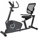 Kobo Recumbent Bike for Home Magnetic Exercise Bike, Recumbent Bike Exercise Cycle for Fitness with Adjustable Seat magnetic Resistance Grey