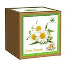 Sow and Grow Seed Starter Grow Kit of German Chamomile Flower || for temperatures 15-25 Degrees || DIY Easy Grow it Yourself Gardening Kit for Home and Garden || A Complete Beginner Gardeners Set