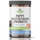 Puppy Vitamins and Supplements, Dog Multivitamin -120 Grain-Free Multi Vitamin Treats - Multivitamins for Puppies, Glucosamine Chondroitin MSM Joint Supplement, Omega 3 Salmon Oil, Probiotics for Dogs