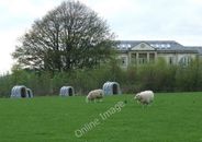 Photo 6x4 Calf hutches at Ardgowan Policies Inverkip The plastic shelters c2010
