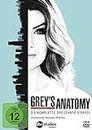 Grey's Anatomy - Die komplette dreizehnte Staffel [6 DVDs]