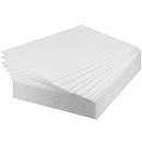 KEILEOHO 25 Pack 17 x 13 Inches Corrugated Plastic Sheets, White Blank Poster Board, Plastic Sign Board Yard Signboards for Presentations, Arts and Crafts, Decoration, Garage Sale, 3/16 Inch Thick