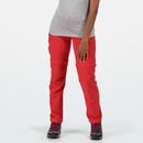 Regatta Womens/Ladies Fingal V Graphic Print T-Shirt - Dapple - Grey - 6