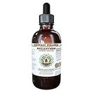 Hawaii Pharm Spilanthes Alcohol-Free Liquid Extract, Organic Spilanthes (Acmella Oleracea) Dried Leaf, Flower and Stem Glycerite Natural Herbal Supplement, USA 2 fl.oz