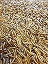 2KG Dried Mealworms for Wild Bird Food - direct deals 123