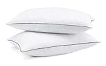 TrueCloud Rectangular 20x36 Inches Pillow, Set of 2, Bed Pillows for Sleeping King Size Pillow, Hollow conjugated Pillow Home & Hotel Collection Fluffy Pillows Soft and Premium Fill, 2 Pack