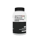 Scitron TRIBULUS TERRESTRIS 90 Veg Capsules (Men's Health - Boost Testosterone, Vitality, Strength)