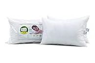 Recron Certified Dream Fibre Pillow (41X61, Fiber;Microfiber, White, Pack Of 2)
