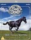 The Adventures of Black Beauty: The Complete Series [Blu-ray]