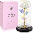 SogYupk Plastic Beauty And The Beast Rose, Forever Rose In A Glass Dome With Led Light, Eternal Rose Galaxy Rose Flower, Best Gift For Her On Valentine'S Day Anniversary Birthday Christmas