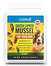 Live Well Vitamins For Life - Green Lipped Mussel For Dogs - Joint Supplements For Dogs - Supplements & Vitamins For Dogs - 90 Capsules - 500mg Each