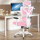 Winrise Office Chair, Ergonomic Desk Chair High Back Gaming Chair, Big and Tall Reclining Chair Comfy Home Office Desk Chair Lumbar Support Breathable Mesh Computer Chair Adjustable Armrests (Pink)