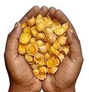 RAMRAJ Personal Health Care Product Kashmiri Garlic Lehsun | Himalayan Single Clove Garlic Grade-A Qualilty 200 Gram | Herbal Product