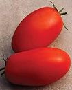 Three Mo Garden | Roma Heirloom (30 Seeds) Tomato Seeds - Determinate - Organic, Heirloom & Non-GMO Canada Vegetable Seeds for Home Garden
