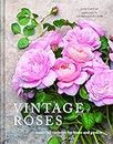 Vintage Roses: Beautiful varieties for home and garden