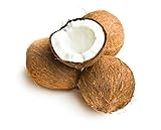SUN GROWN Fresh Kerala Raw Coconut For Cooking & Pooja | Fresh and rich in Nutrient coconut | Nariyal Brown Small (5 coconuts)