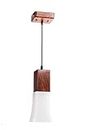 Green House Sheesham Wood Handmade Hanging Pendant Ceiling Chandelier | E27 Bulb Holder(Bulb Not Included) | 1m Adjustable Cord | Home Decor Lighting for Bedroom, Living Room, Dining, Kitchen, Hall
