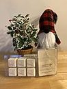 Apple Hill Candle Company Balsam Christmas Tree Scented Wax Melts - 5 oz.