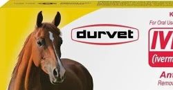 2pack New In Box Paste Horse Dewormer Apple Flavor  Exp 12/2025 dur-vet wormer