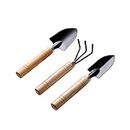 New Creative Gardening Mini Hand Tools Kit for Women and Kids, Home Garden/Plants Indoor and Outdoor use, Miniature Size Wood Handles with Metal Head/Shovel, Spade and Rake (Set of 3 / 3pcs)