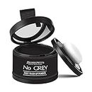Berkowits NO GREY Root Touch up Powder | Hair Concealer for Grey Hair | Instant Root Cover Up Hair Color | Black 4gm